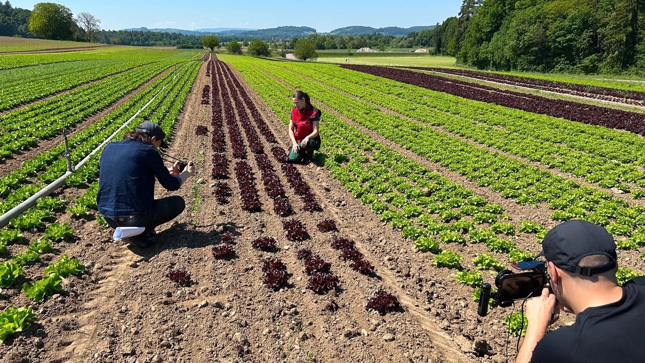 On-location shooting in the field