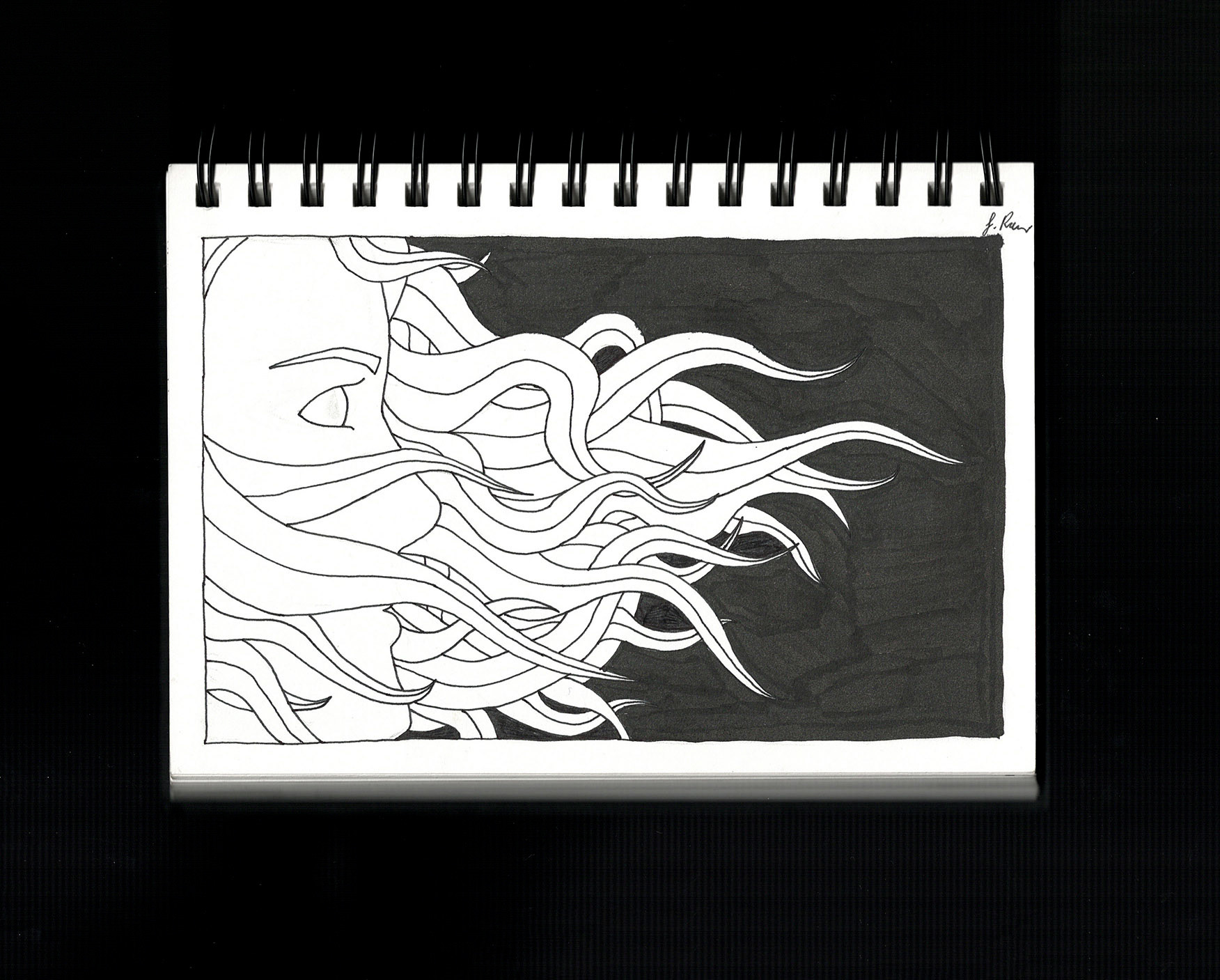Mindbook — abstract ink drawing
