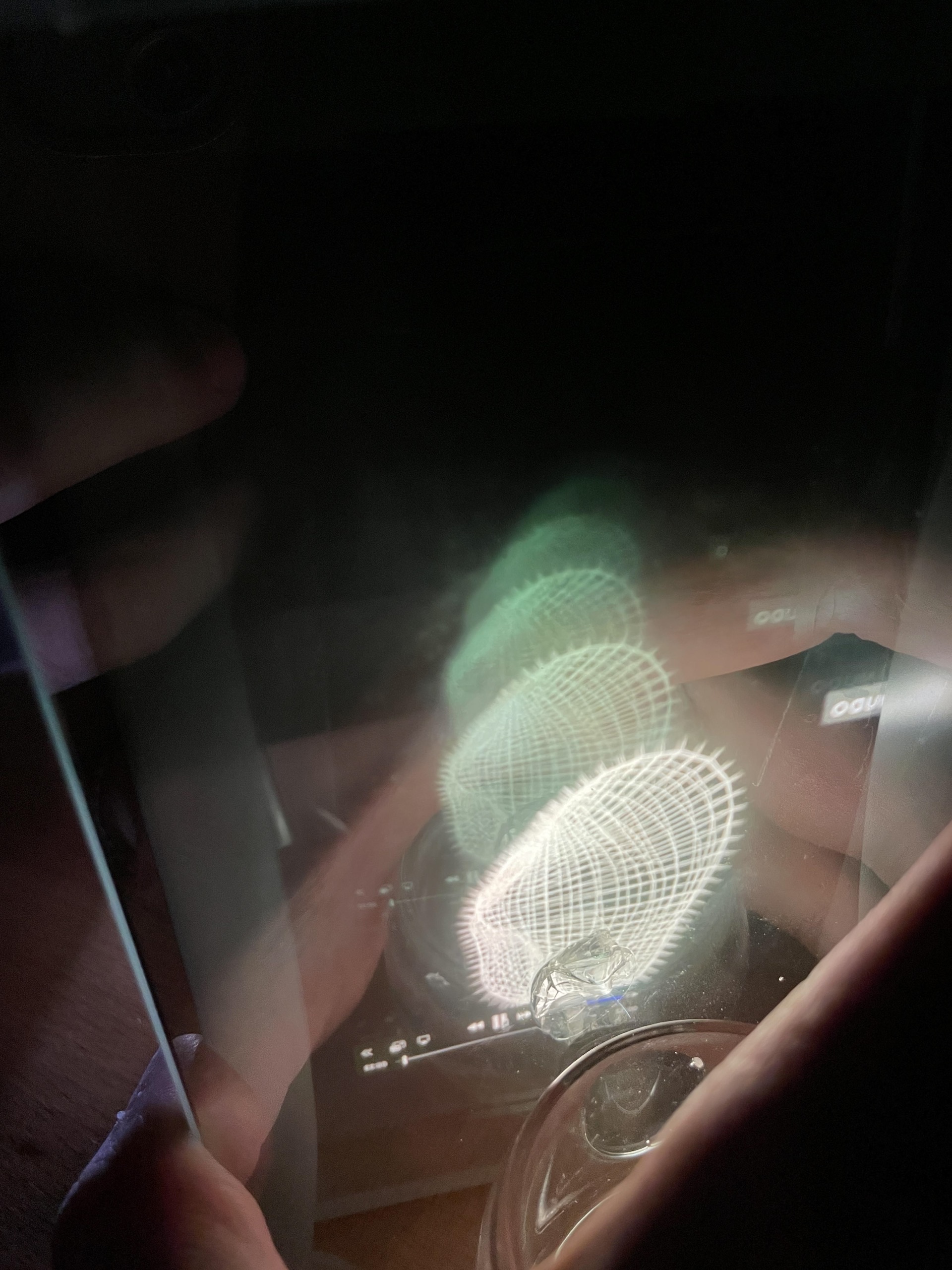 Mirrorilla — the receding wireframe heads inside the infinity mirror