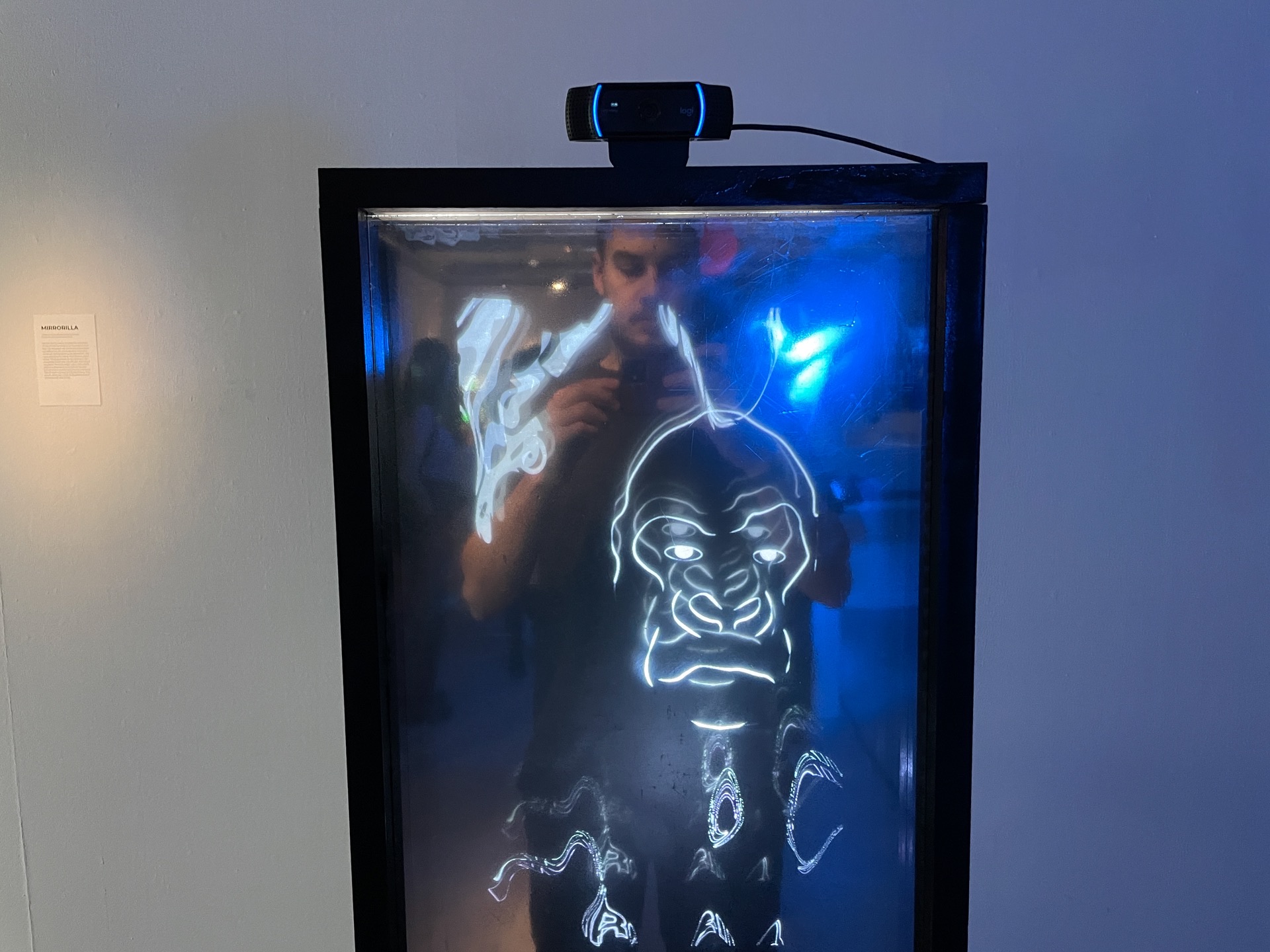 Mirrorilla — the installation showing the glowing gorilla face and the face-tracking camera on top
