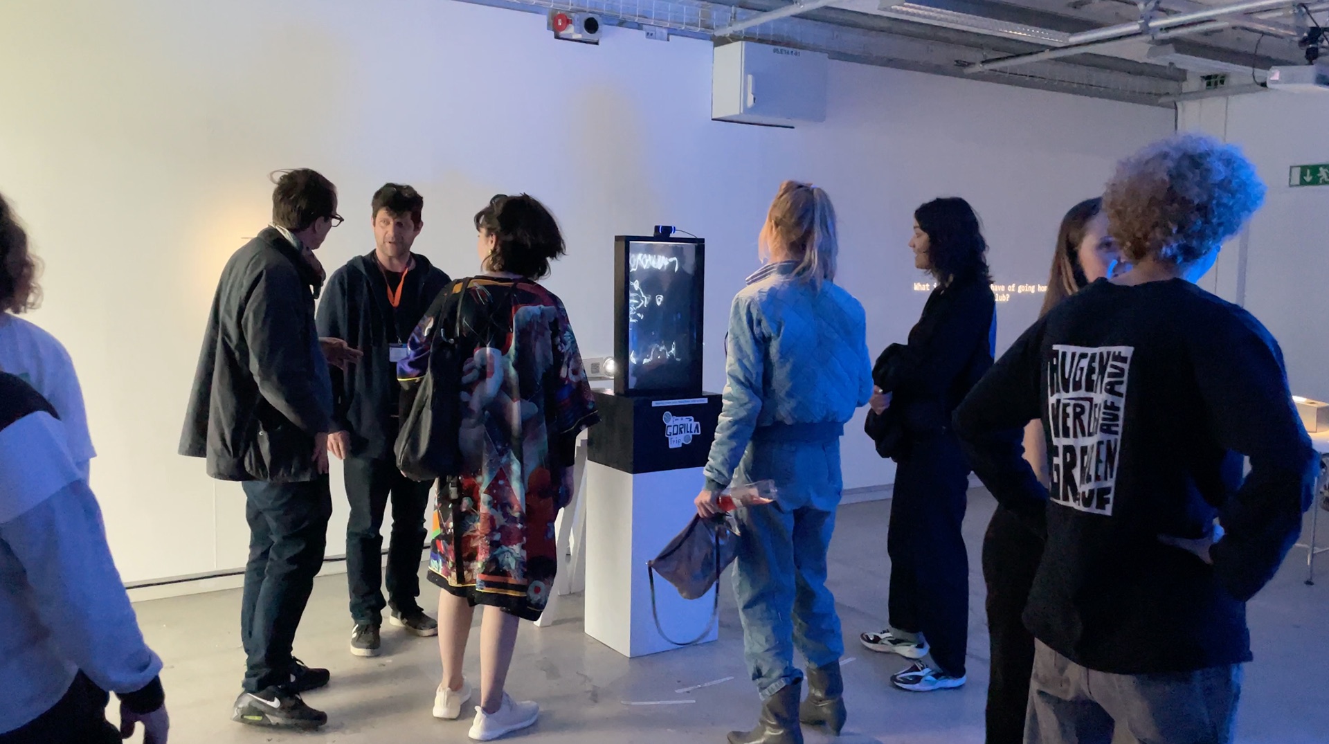 Mirrorilla — visitors gathered around the installation at the exhibition