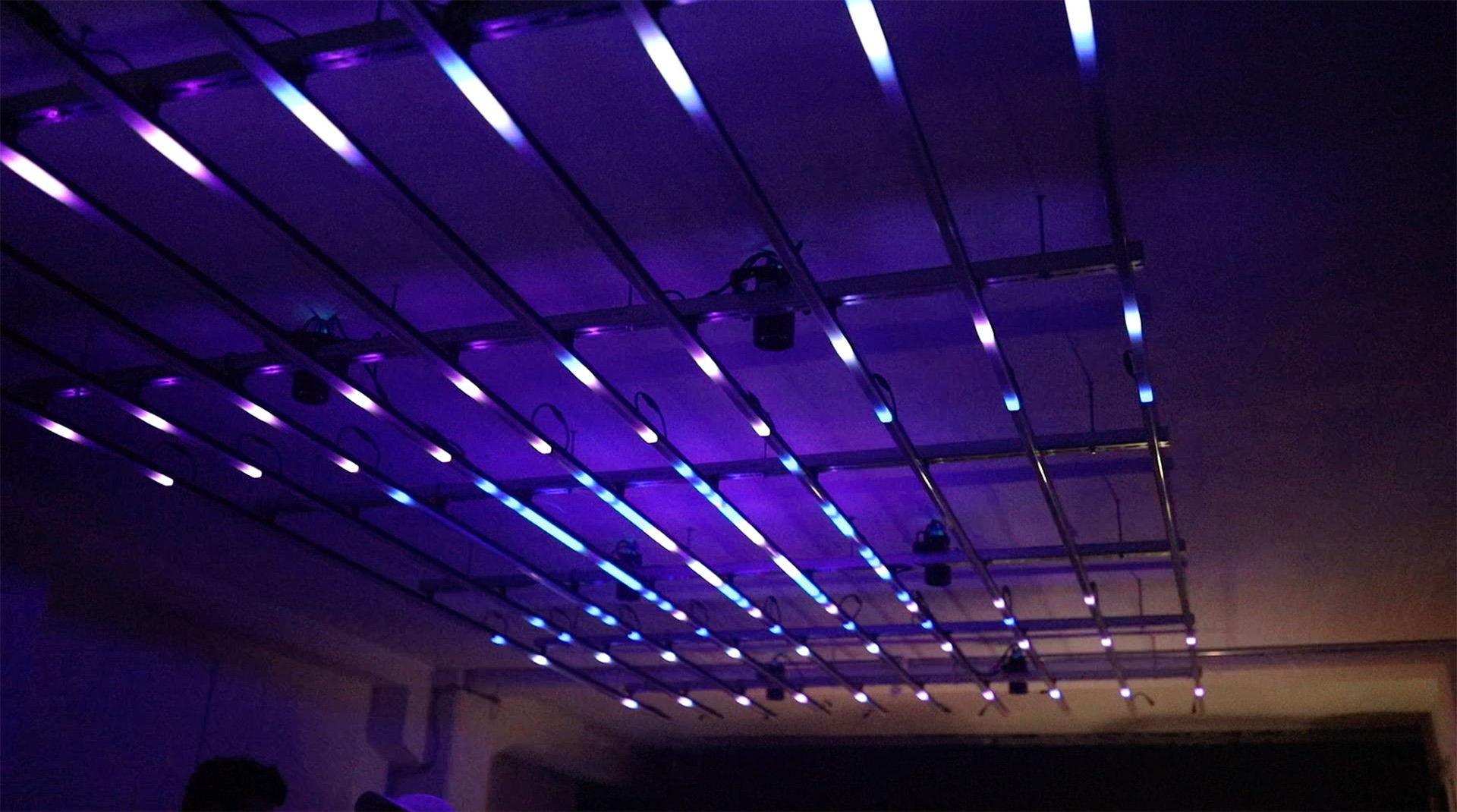 Tanztrieb — crowd under the lights