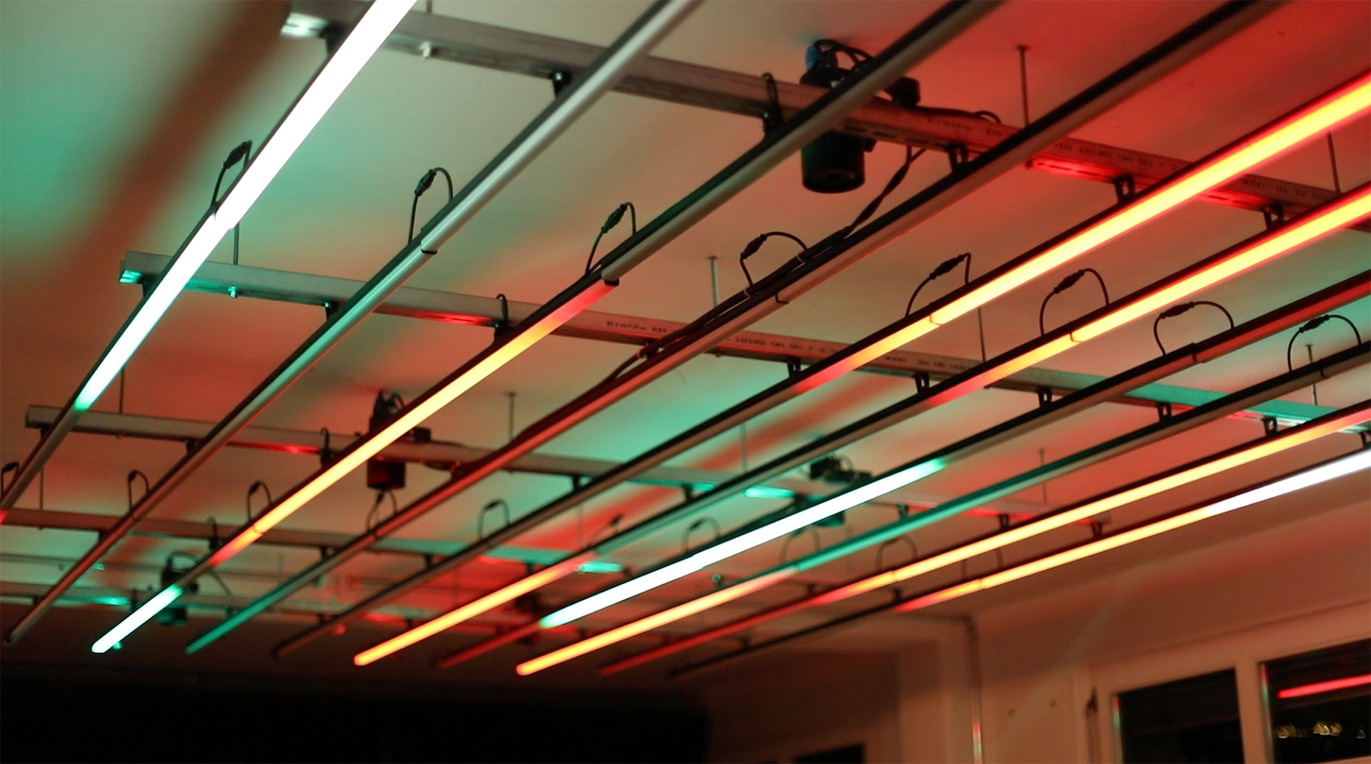 Tanztrieb — the room bathed in light